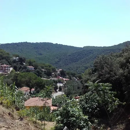 La Casita Amarilla * Argentona
